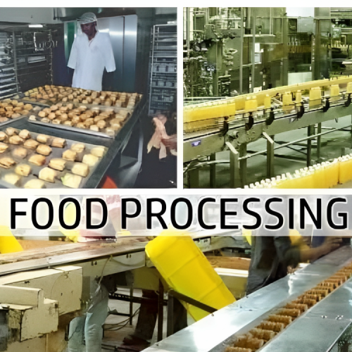 FOOD PROCESSING